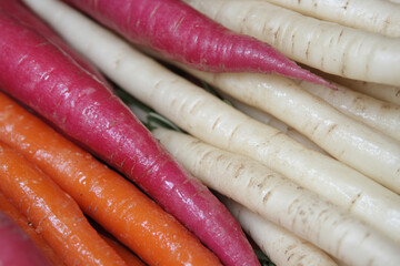 A bunch of carrots with orange and white stripes
