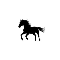 "Silhouette of Fast Running Wild Horse"

