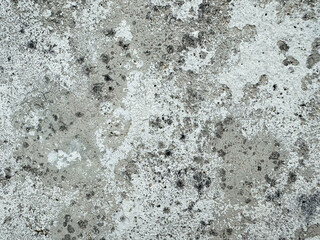 Weathered concrete texture with moss and lichen growth for background use