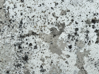 Weathered concrete surface with black mold spots texture background for architectural design