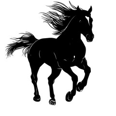 "Silhouette of Fast Running Wild Horse"

