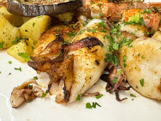 Grilled seafood platter with squid and vegetables garnished with fresh herbs