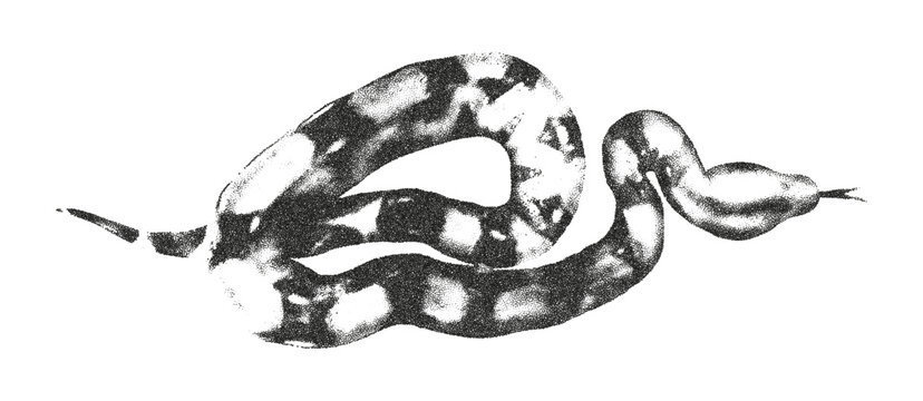 Trendy halftone stipple effect element. Python serpent. New year of the Snake grunge punk grainy dotted y2k collage design ideal for poster, banner, tattoo, t-shirt print. Modern vector illustration