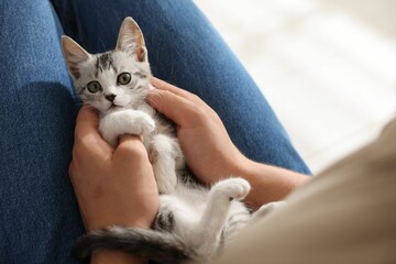 Man with cute kitten at home, closeup