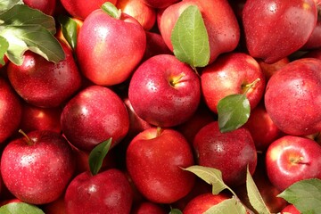 Fresh ripe red apples and green leaves as background, top view