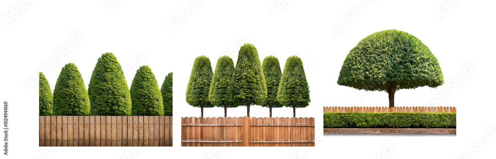 Poster a collection of trimmed trees and hedges stand behind wooden fences with a white background.