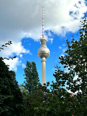 Berlin TV Tower behind trees, Alexanderplatz, Berlin-Mitte, Germany