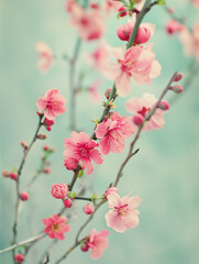 Obraz premium Vintage art piece, capturing the elegance of soft pink and red tones on a time-worn canvas,