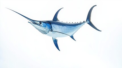 A striking blue marlin swordfish in mid-jump, isolated on a white background, showcasing its beauty and grace in ocean waters