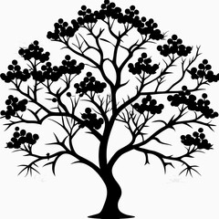 juniper-berry--tree-silhouette