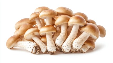Brown beech mushrooms, delicately clustered and isolated on a white background, perfect for natural food photography