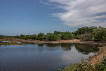 The oldest nature reserve in a great landscape. Natural environment in the morning at sunrise. Pure nature in the steppe landscape in Yala National Park, Uva, Sri Lanka, India, Asia