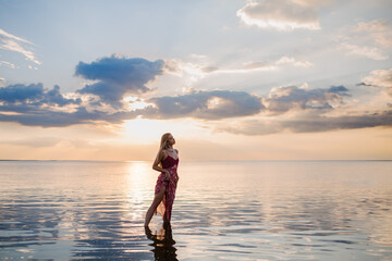 Fototapeta premium A beautiful young woman in a pink dress is standing on the seashore at sunset.