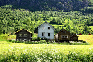 Traditional Norwegian cottages, Olden, Norway