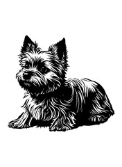 Yorkshire Terrier | Domestic Dog | Dog Breed | Dog Lover | Fur Baby | Cute Yorkshire Terrier | Friendly Terrier | Cute Little Terrier | Original Illustration | Vector and Clipart | Cutfile and Stencil