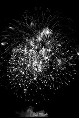 un feu d'artifice du 14 juillet en France