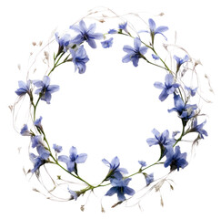 Fototapeta premium PNG Real pressed bluebells flowers wreath petal plant.