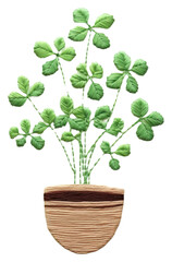 Fototapeta premium PNG Leave plant embroidery pattern leaf.