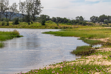 River Song Tranh flowing into the sea on Phu Quoc island, Vietnam, South East Asia. Relaxing getaway tropical island. Enjoyment of natural beauty in tranquil atmosphere. Sand beach covered by greenery