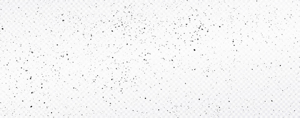 Black dust isolated on transparent background. Texture grunge background spray effect.  Background with little noisy black dots.
