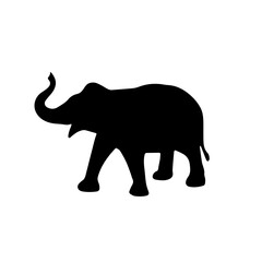 View of elephant silhouette on white background
