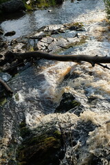 waterfall and tree trunk, Karelia