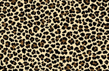 Leopard Print , isolated on white background,  , copy space for text,