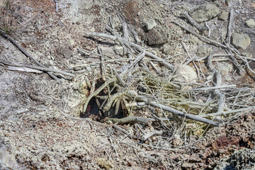 Vent at Sulphur Banks / Ha’akulamanu, Kīlauea Caldera, Hawaiʻi Volcanoes National Park. Sulfur. Hematite. Gypsum. Opal. Hydrothermal system