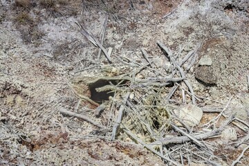 Vent at Sulphur Banks / Ha’akulamanu, Kīlauea Caldera, Hawaiʻi Volcanoes National Park. Sulfur. Hematite. Gypsum. Opal. Hydrothermal system