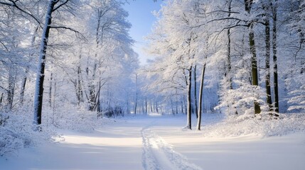 Obraz premium Enchanted Winter Wonderland SnowCovered Trees Serene Blue Sky