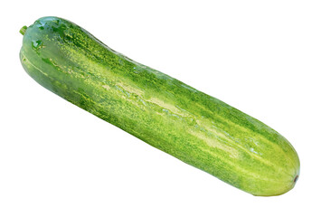 Side view of fresh long green cucumber isolated with clipping path in png file format