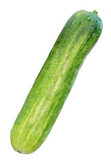 Top view of fresh long green cucumber isolated on white background with clipping path