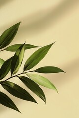 Array of green leaves against a pale background casting soft shadows, evoking tranquility and natural elegance.