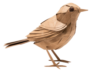 PNG Bird animal white background creativity.