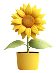 Obraz premium PNG Sunflower plant inflorescence cultivated.