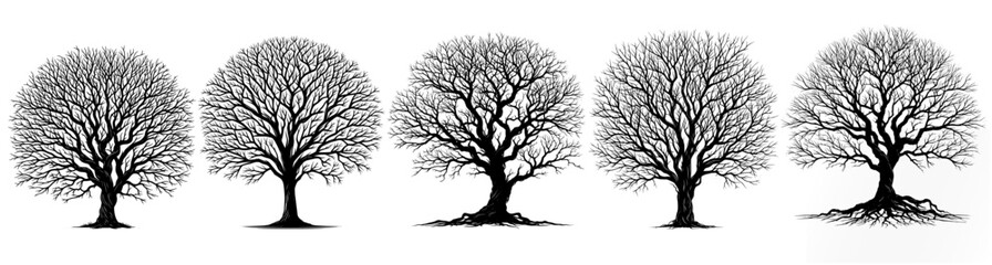 Fototapeta premium silhouette trees set on white background. realistic detailed trees set reflecting horror, spooky, death, pollution, winter, desert etc. design element for web, app, ui etc. 
