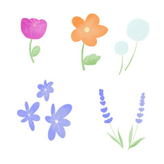 Naklejka premium set of fowers cute illustration