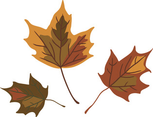 autumn maple leaves isolated vector illustration, design element for fall decoration, greeting cards,invitation