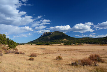 Sheep Lake Meadows Wayside - Rocky Mountain National Park