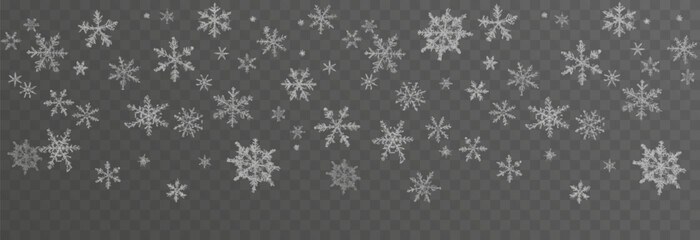 Vector snow falling from above. Snowfall on isolated transparent background. Christmas or winter background. Snow or snowflakes png.