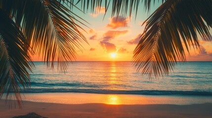 Palm Tree Silhouette Framing a Sunset Over a Calm Ocean Beach