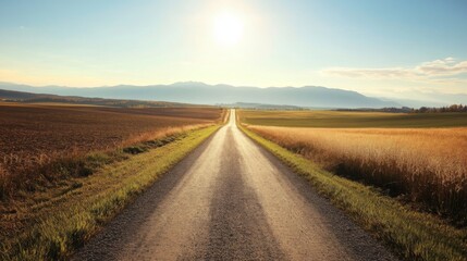 A winding gravel road leading towards a distant mountain range under a bright sun.
