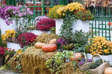 A colorful and cheerful Autumn Harvest Display featuring vibrant Pumpkins and beautiful Flowers