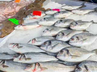 Fresh fish and seafood for sale in St George's Market, Belfast Northern Ireland. 