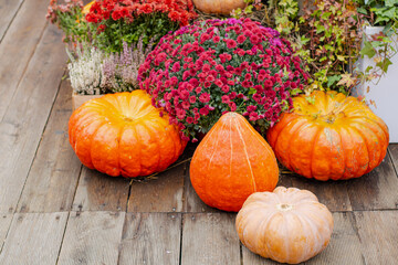 A colorful and cheerful Autumn Harvest Display featuring vibrant Pumpkins and beautiful Flowers
