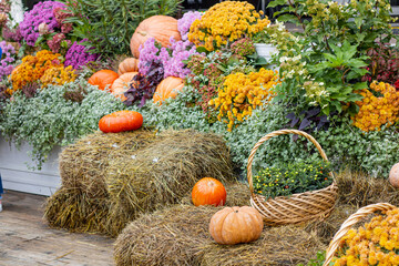 A colorful and cheerful Autumn Harvest Display featuring vibrant Pumpkins and beautiful Flowers