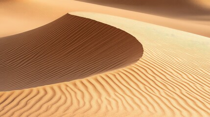 A single wind-swept sand ripple in the desert, capturing the delicate texture and simplicity of the scene with no other distractions