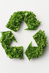 Green recycling symbol made of fresh leaves on a white isolated background.