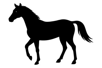 horse silhouette vector illustration