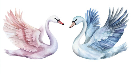 Obraz premium Swan bird, Elegant Watercolor birds hand-painted Isolated. Perfect for designers, nature lovers, creative decor. Clipart